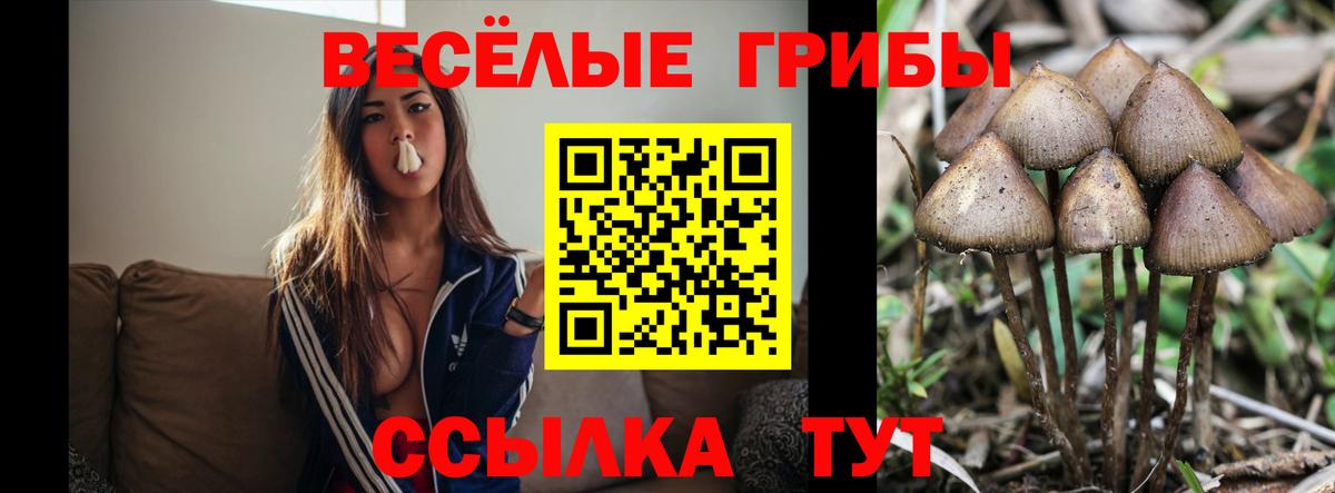 Псилоцибиновые грибы мухоморы  Псилоцибиновые грибы GOLDEN TEACHER  Вход с VPN  Белебей 